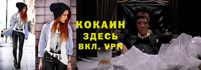 omg сайт  Нестеров  Cocaine FishScale  как найти  